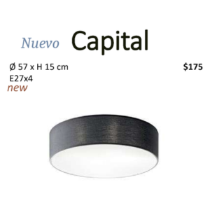 Capital