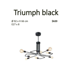 Triumph black