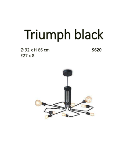 Triumph black